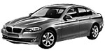 BMW F10 P2022 Fault Code